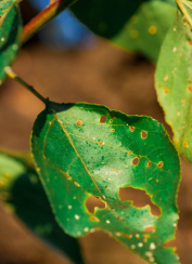 Time is of the essence