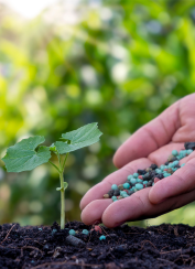 Fertilizer usage has increased dramatically